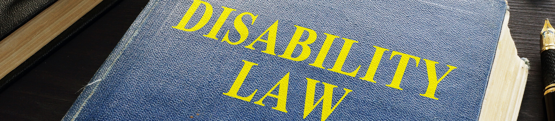 Disability law book